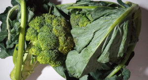 anti-ageing broccolli