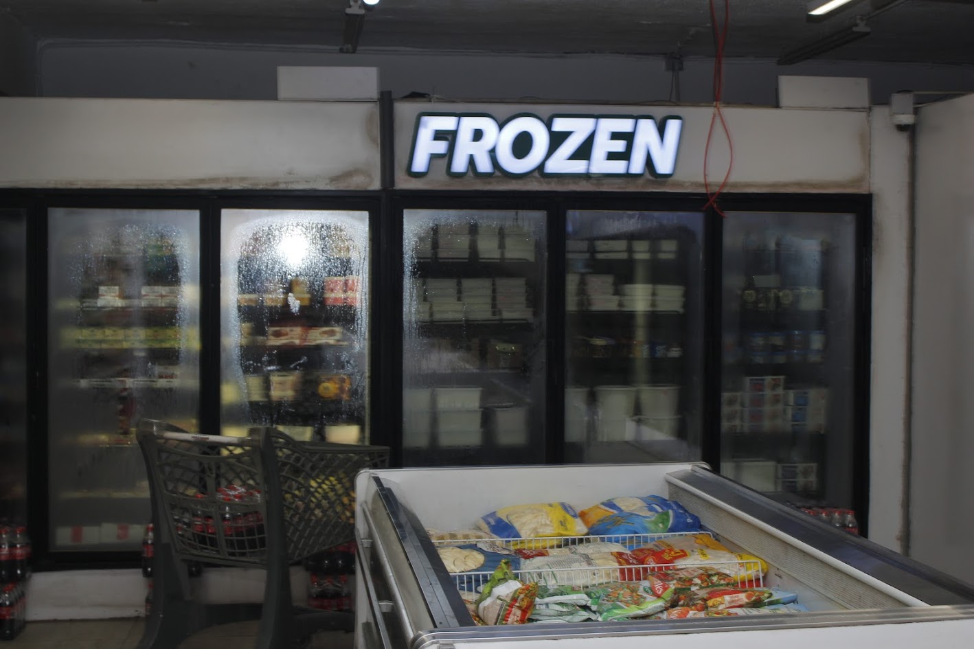 Frozen Food