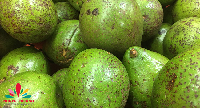 health benefits of avocado