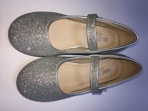 Silver Shiny Shoe